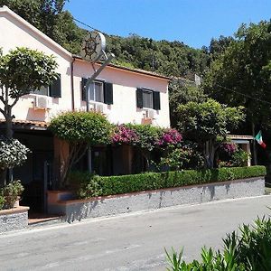 Da Zio Pino